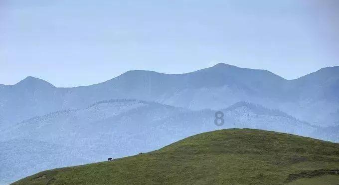 石油骚动